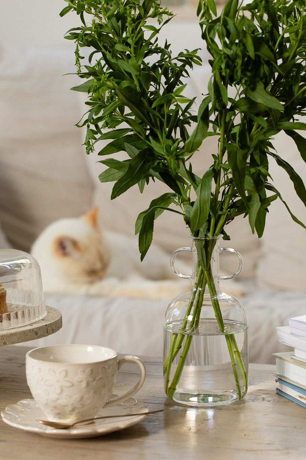 אגרטל זכוכית שקוף ידיות