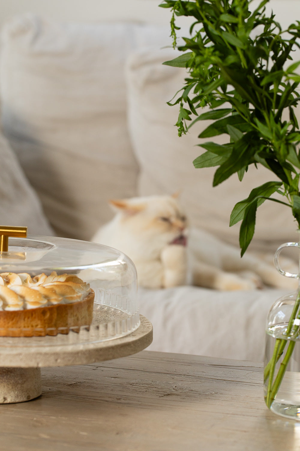 פעמון לעוגה על רגל- שיש וטרוורטין