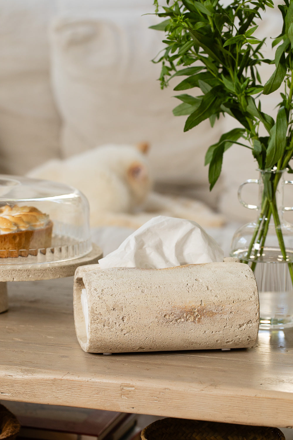 אגרטל זכוכית שקוף ידיות