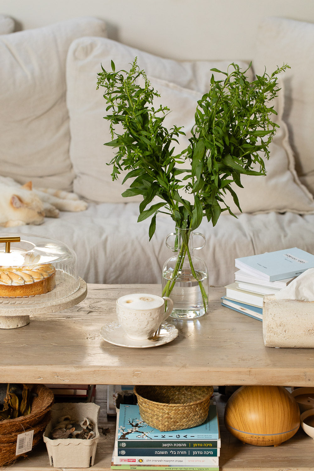 אגרטל זכוכית שקוף ידיות