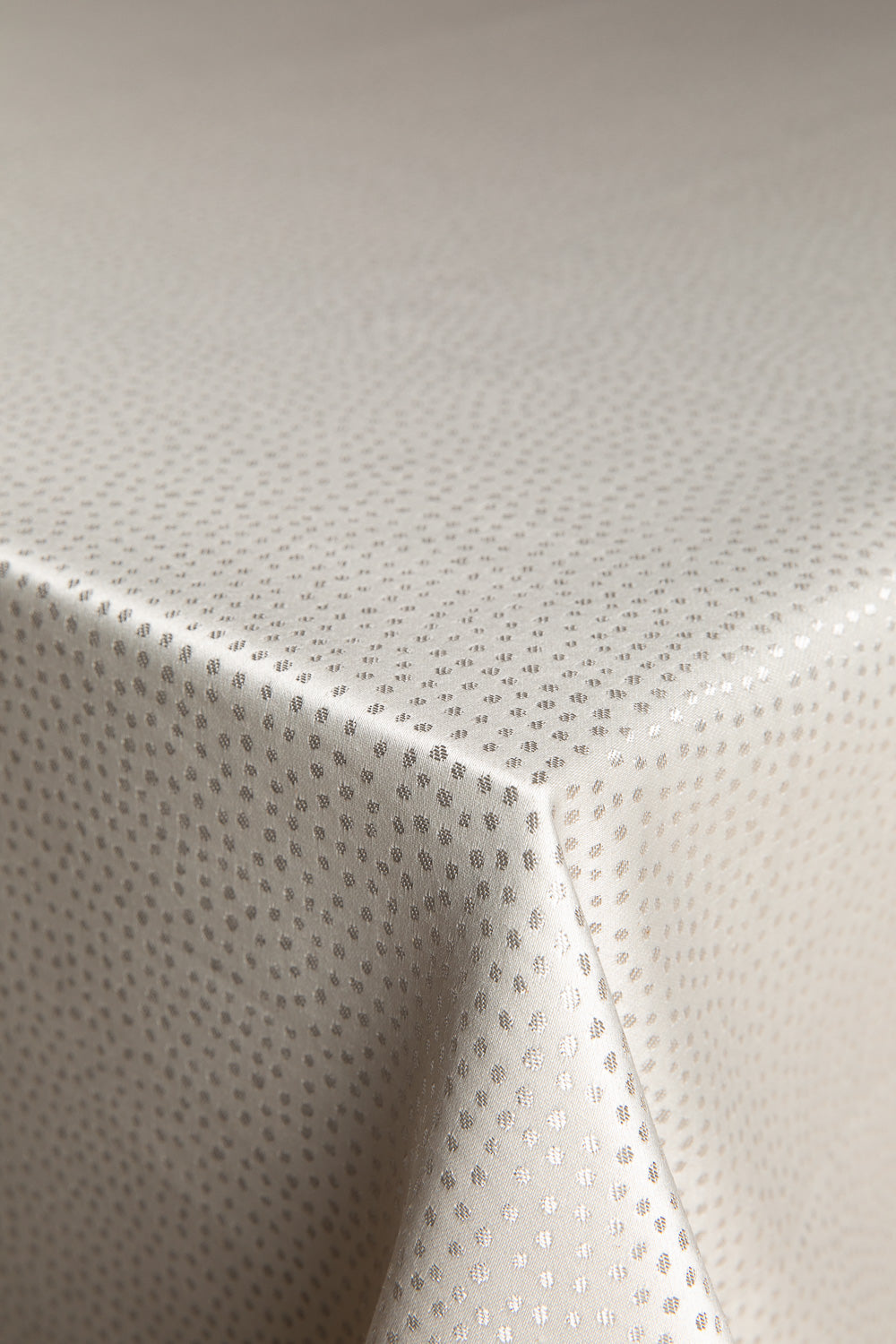 דוטס כסף לבן