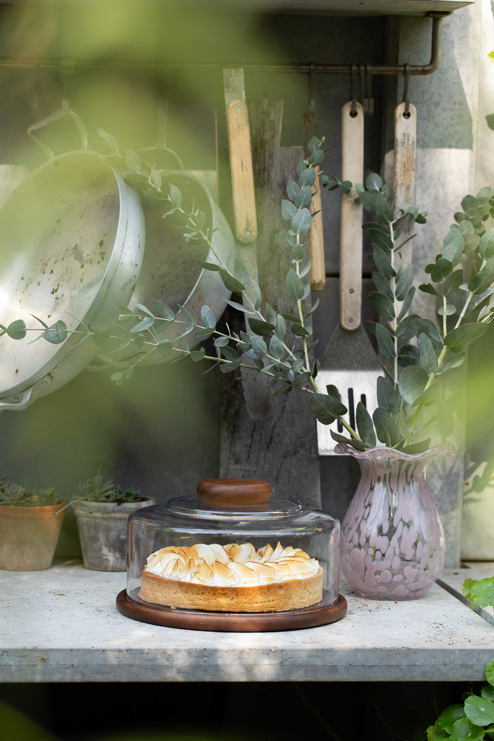 פעמון לעוגה מכסה זכוכית