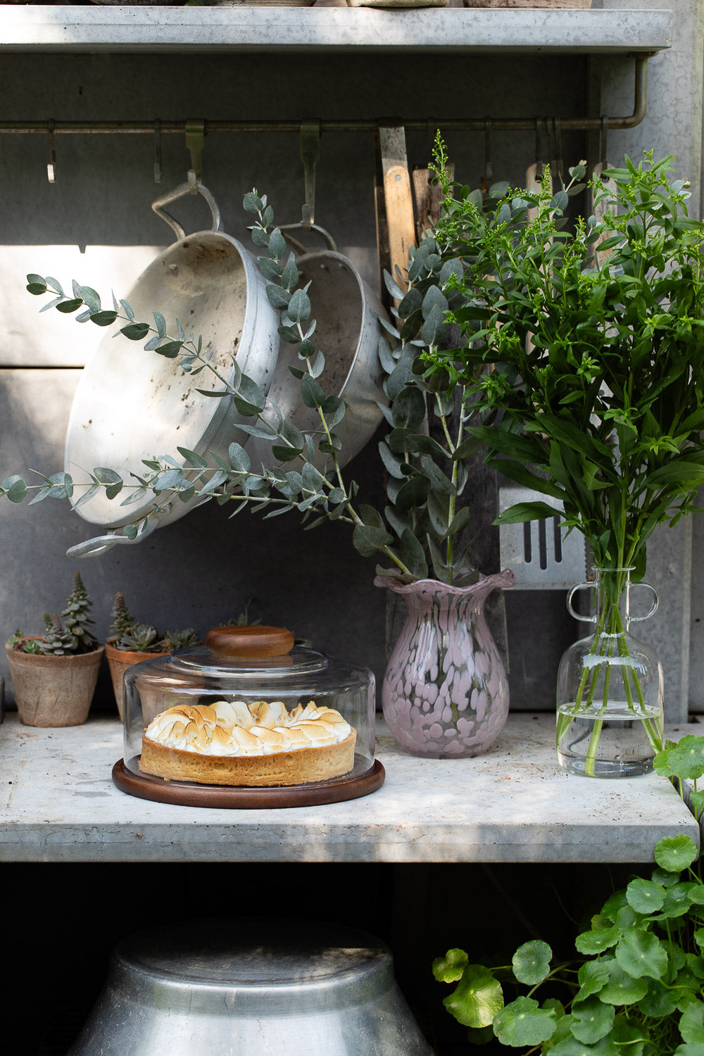 אגרטל סוכריה ספלאש ורוד