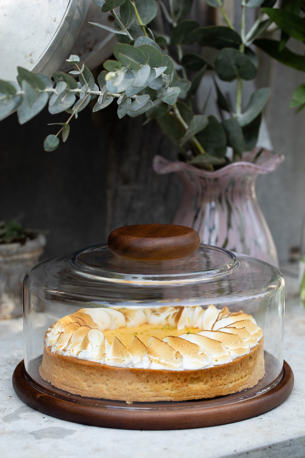 אגרטל סוכריה ספלאש ורוד