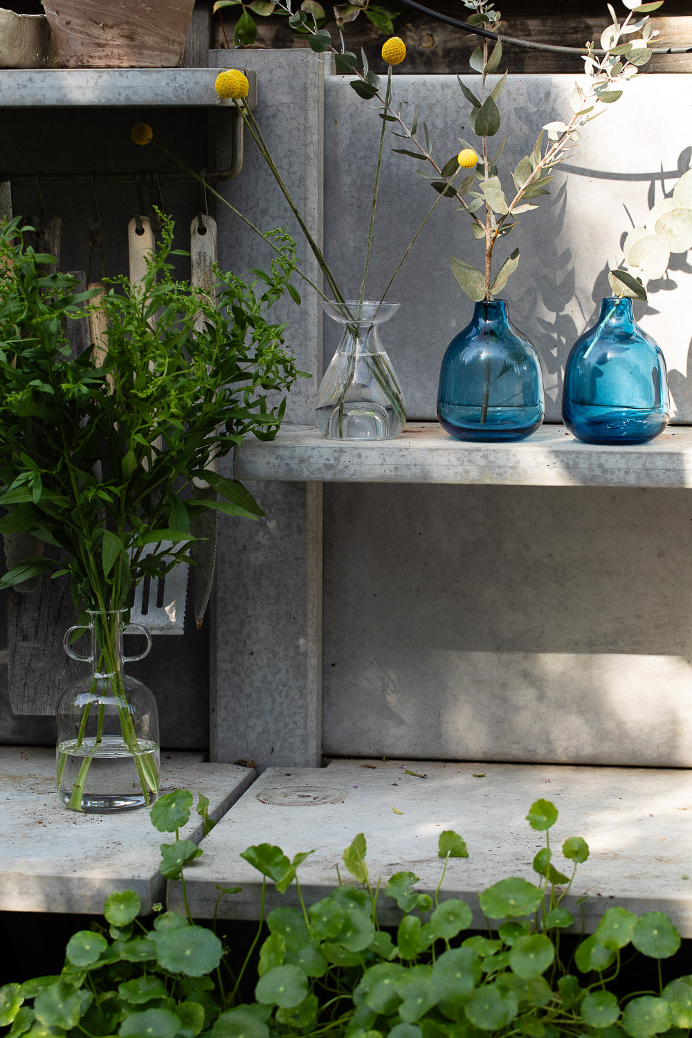 אגרטל זכוכית שקוף עגול