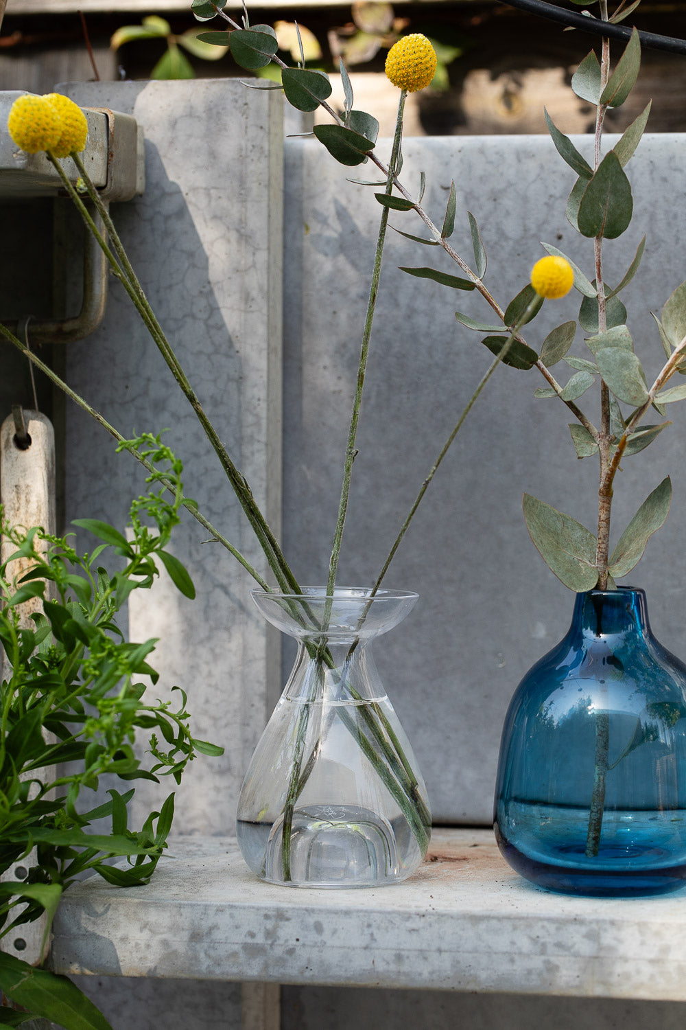 אגרטל זכוכית כחול